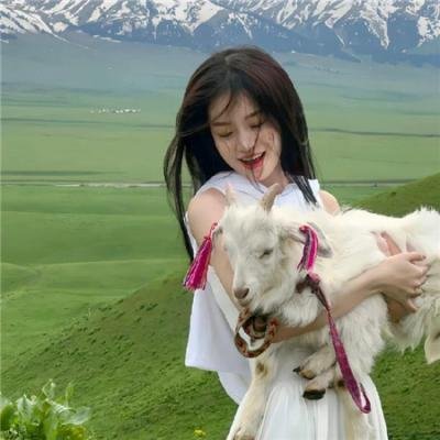 黑狐之风影